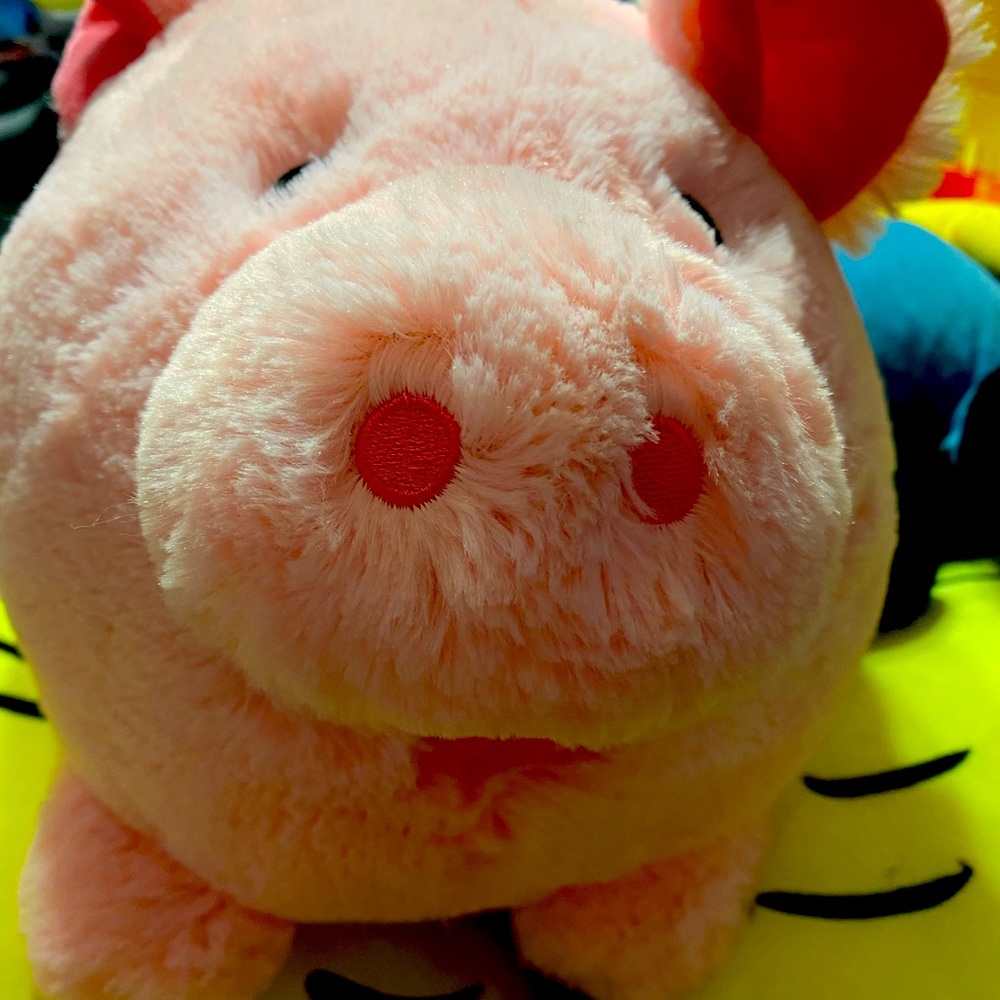 Pig bank